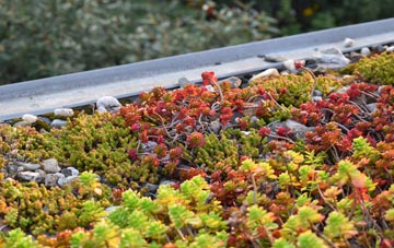the cost of Congleton green roof installation